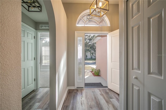 foyer entrance featuring wood-type flooring and a healthy amount of sunlight