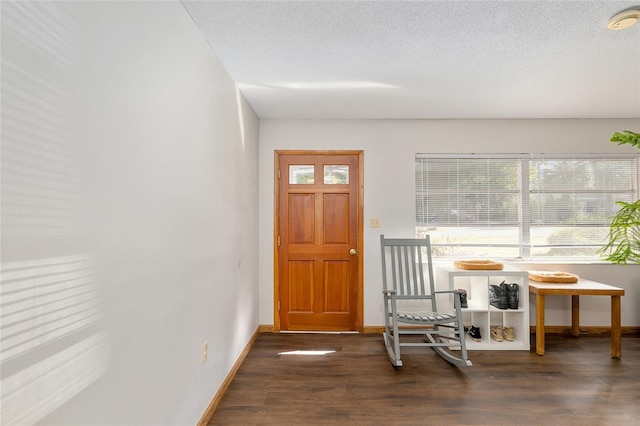 foyer entrance featuring dark hardwood / wood-style flooring, a healthy amount of sunlight, and a textured ceiling