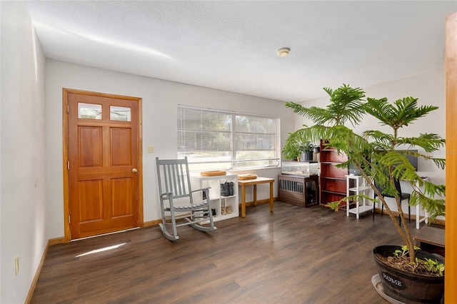 entryway featuring dark hardwood / wood-style flooring and a textured ceiling