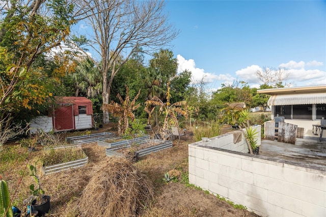 view of yard with a shed