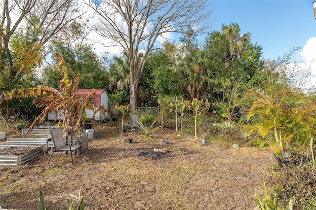 view of yard featuring a storage unit