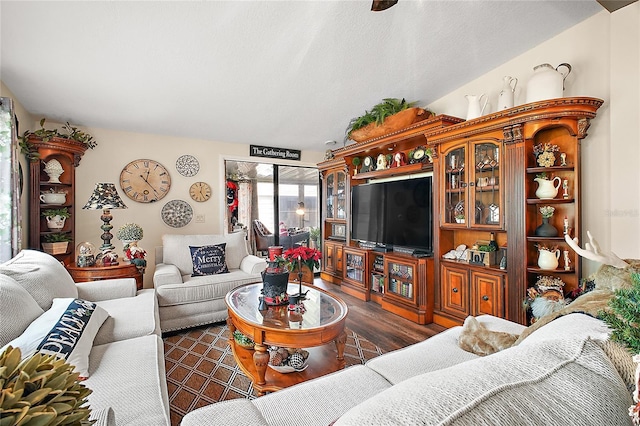 living room featuring dark wood-type flooring