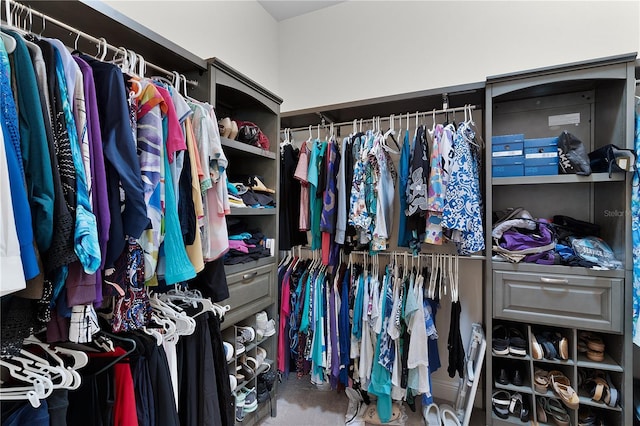 spacious closet with carpet