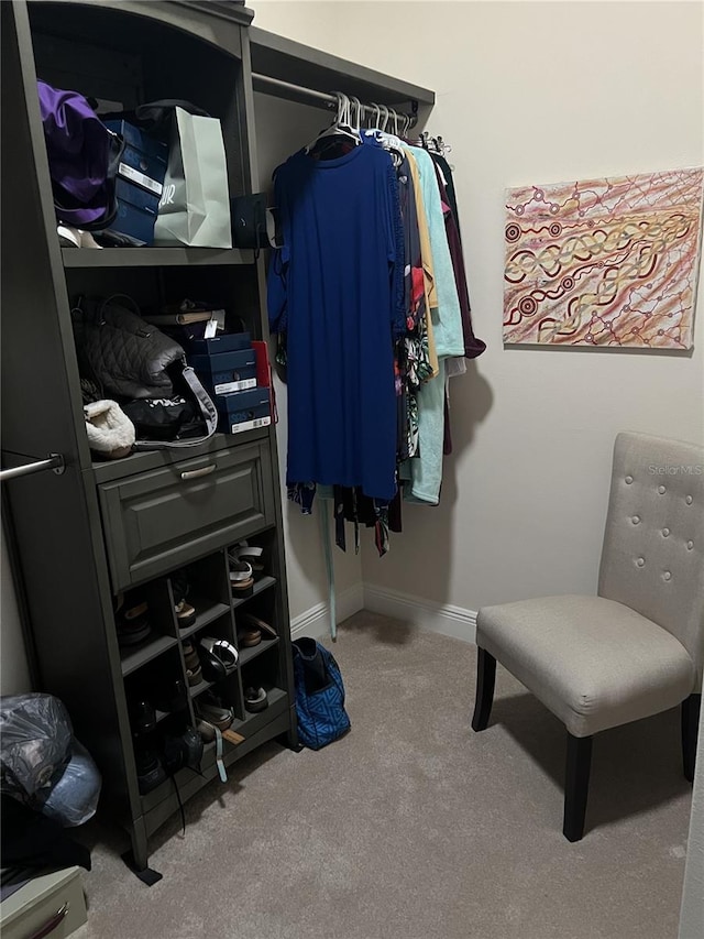 spacious closet featuring carpet