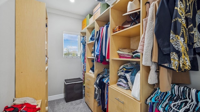 spacious closet featuring light carpet