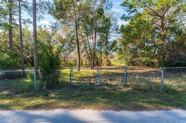 Sunland Ave, Leesburg FL, 34788 land for sale