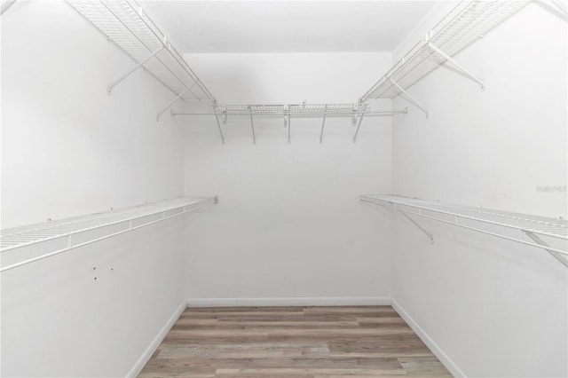 spacious closet with hardwood / wood-style floors