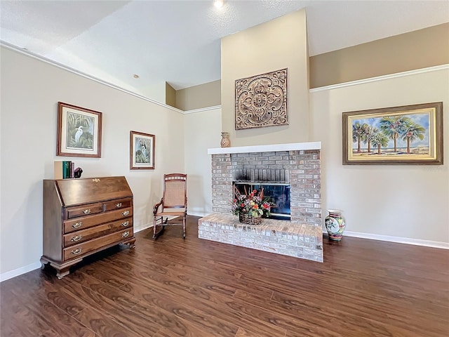 living area featuring a fireplace and dark wood-type flooring