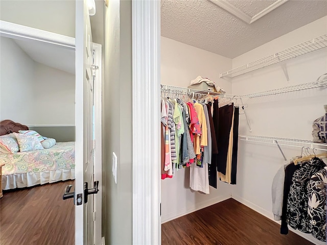 spacious closet with dark hardwood / wood-style floors