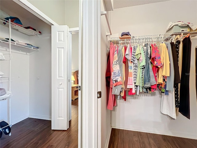 spacious closet featuring dark wood-type flooring