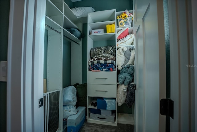 walk in closet featuring carpet