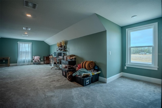 bonus room with carpet flooring and plenty of natural light