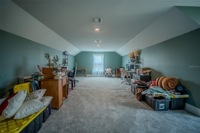 additional living space with a textured ceiling, carpet, and vaulted ceiling