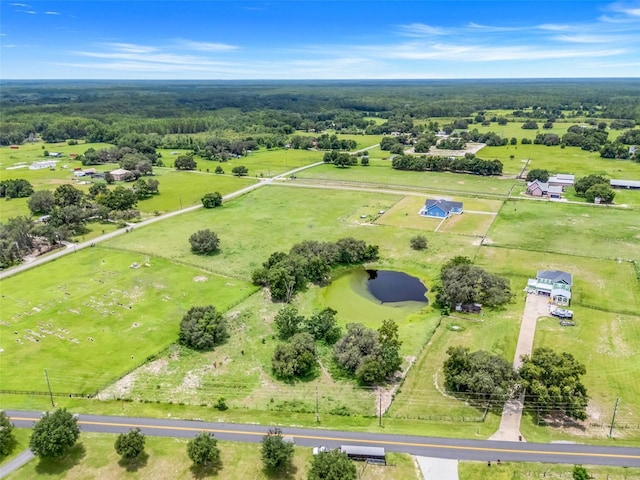 2437 Bay Lake Loop, Groveland, FL 34736 - aerial view of a large body of water