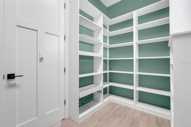 2437 Bay Lake Loop, Groveland, FL 34736 - view of storage area