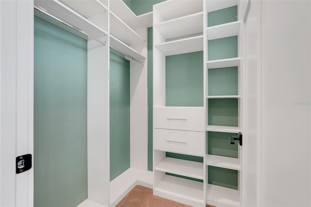2437 Bay Lake Loop, Groveland, FL 34736 - walk in closet with carpet
