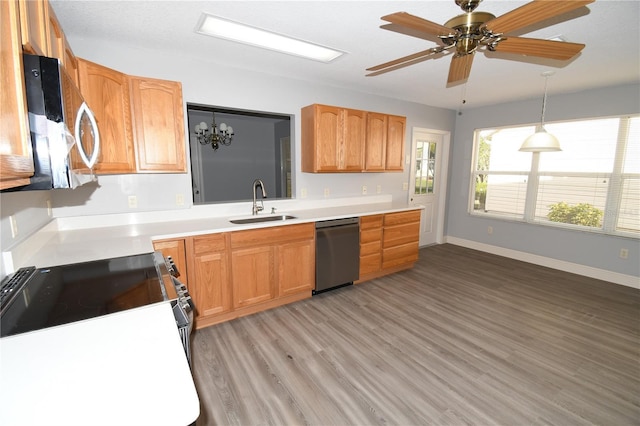 kitchen featuring ceiling fan with notable chandelier, decorative light fixtures, sink, light hardwood / wood-style floors, and stainless steel appliances