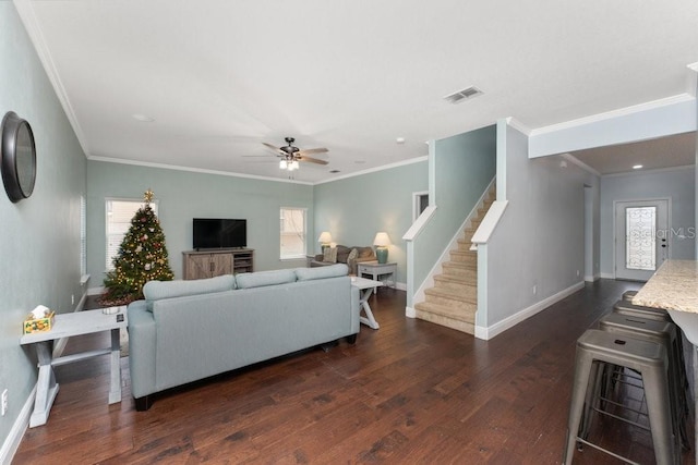 living room with ceiling fan, crown molding, and dark wood-type flooring