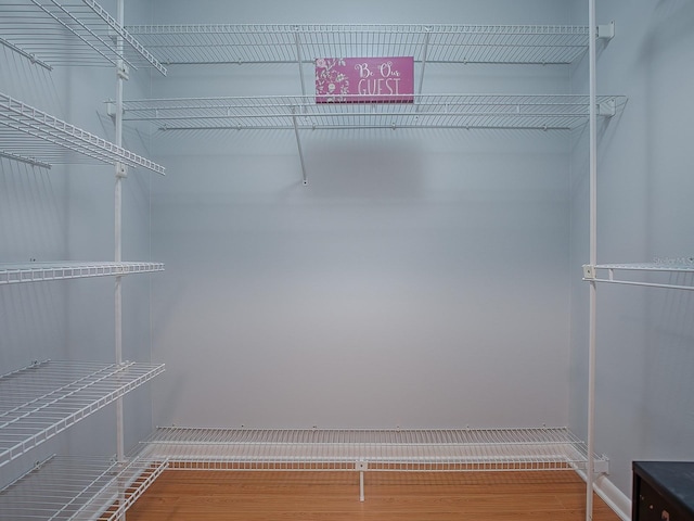 walk in closet featuring wood-type flooring