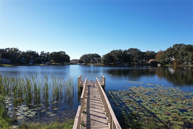 dock area with a water view