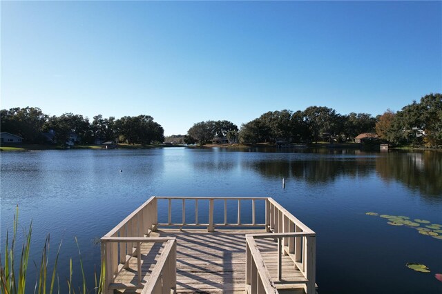 dock area with a water view