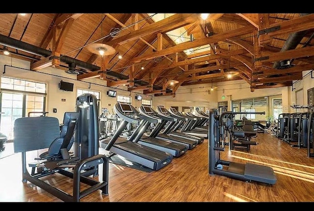 workout area featuring hardwood / wood-style floors, high vaulted ceiling, and wooden ceiling