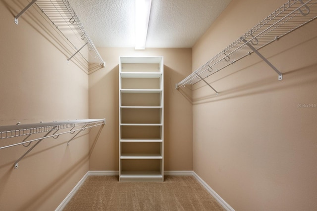 walk in closet featuring carpet floors