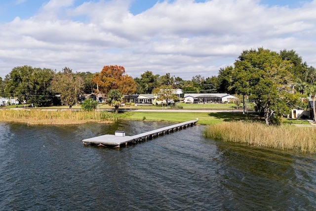 dock area with a water view