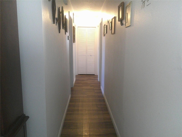 corridor featuring dark hardwood / wood-style flooring