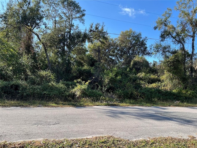 Crk 690, Webster FL, 33597 land for sale