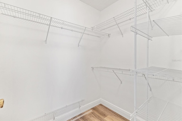 walk in closet with hardwood / wood-style floors