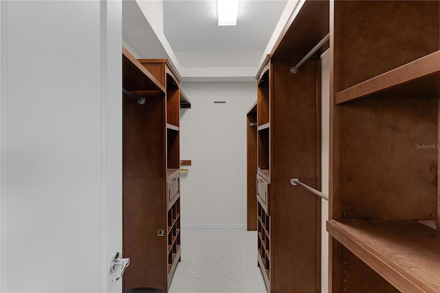 walk in closet with light carpet