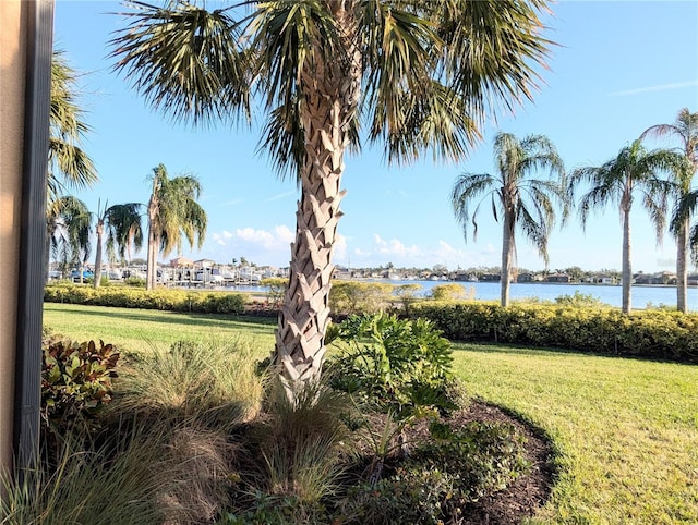 exterior space with a yard and a water view