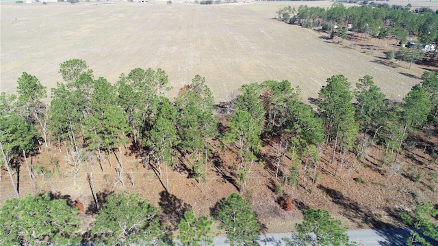 LOT13 NE Falcon Ave, Dunnellon FL, 34431 land for sale