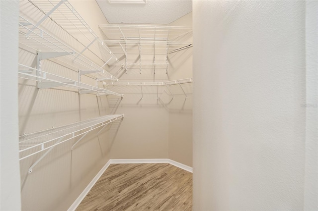 17159 SE 78th Crowfield Ave, The Villages, FL 32162 - spacious closet featuring wood finished floors