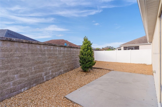 view of yard featuring a patio area