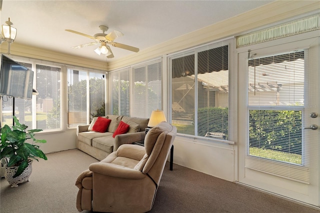 sunroom with a ceiling fan and carpet floors