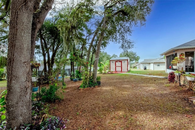 view of yard featuring a storage shed