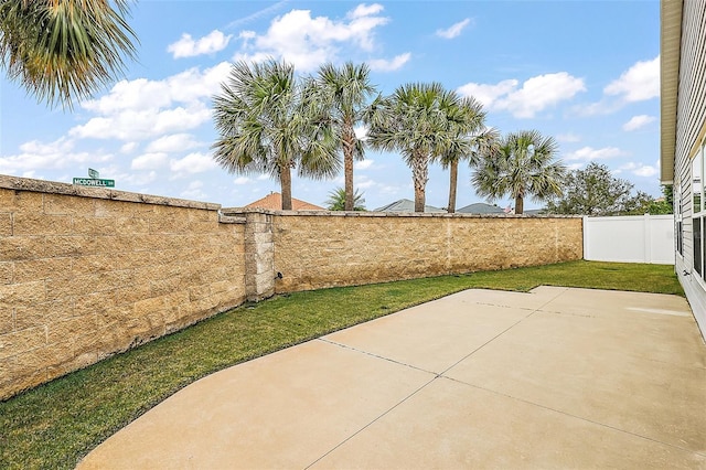 view of yard featuring a patio area