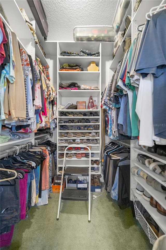 walk in closet featuring carpet