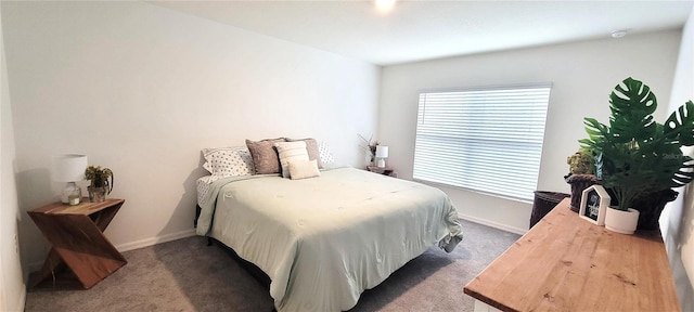 carpeted bedroom with multiple windows