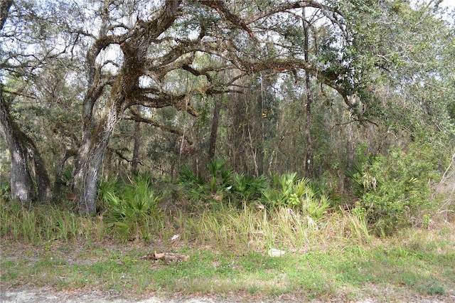 7180 Alloy St, Webster FL, 33597 land for sale