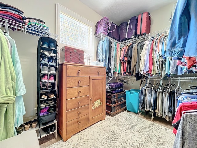 walk in closet with carpet floors