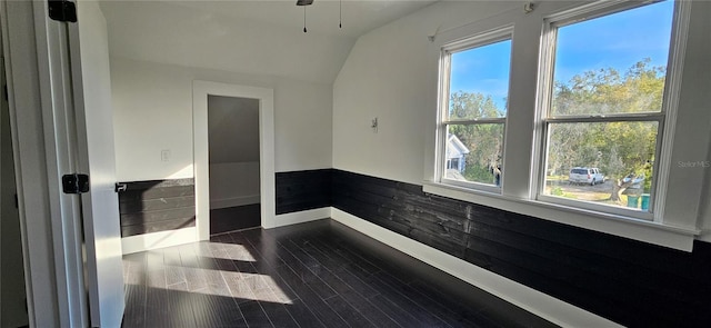 interior space with dark hardwood / wood-style flooring and lofted ceiling