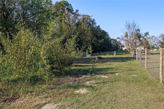 view of yard with a rural view