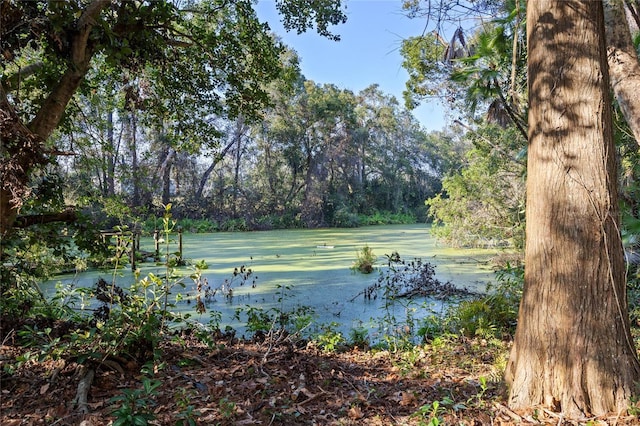 view of water feature