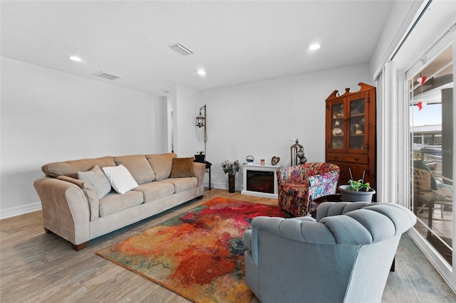 living room with hardwood / wood-style floors