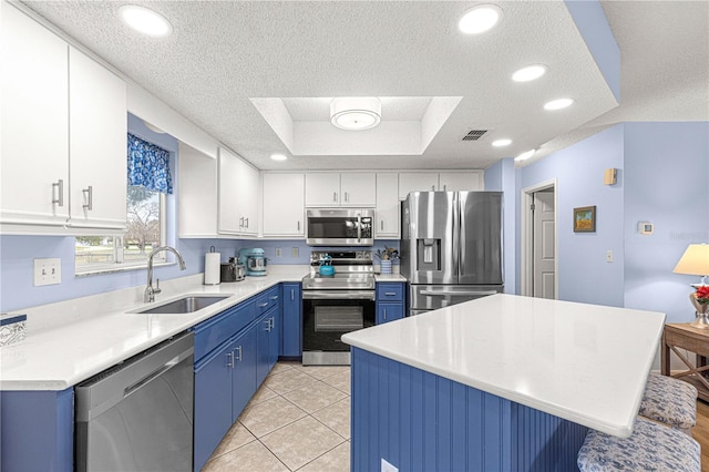 kitchen featuring sink, blue cabinetry, a tray ceiling, white cabinetry, and stainless steel appliances