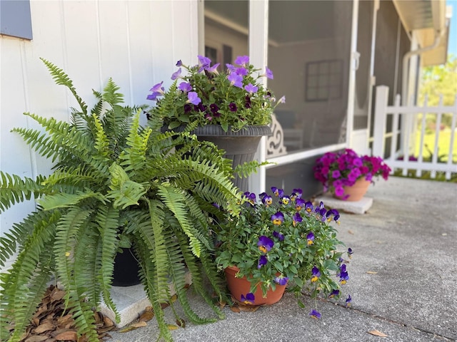 422 W 11th Ave, Mount Dora, FL 32757 - photo 24