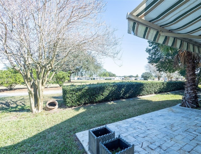 view of yard with a patio area